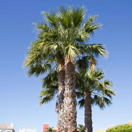 Apartment Lujo A 5 Minutos De Isla Canela Y De Ayamonte. Algarve Portugues. *